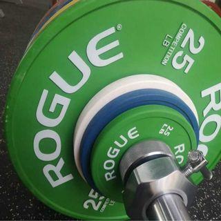 Affordable Plates Rogue For Sale Sports Equipment Carousell Singapore