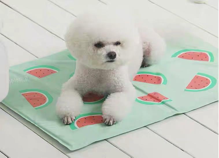 Dog cooling online mat watermelon