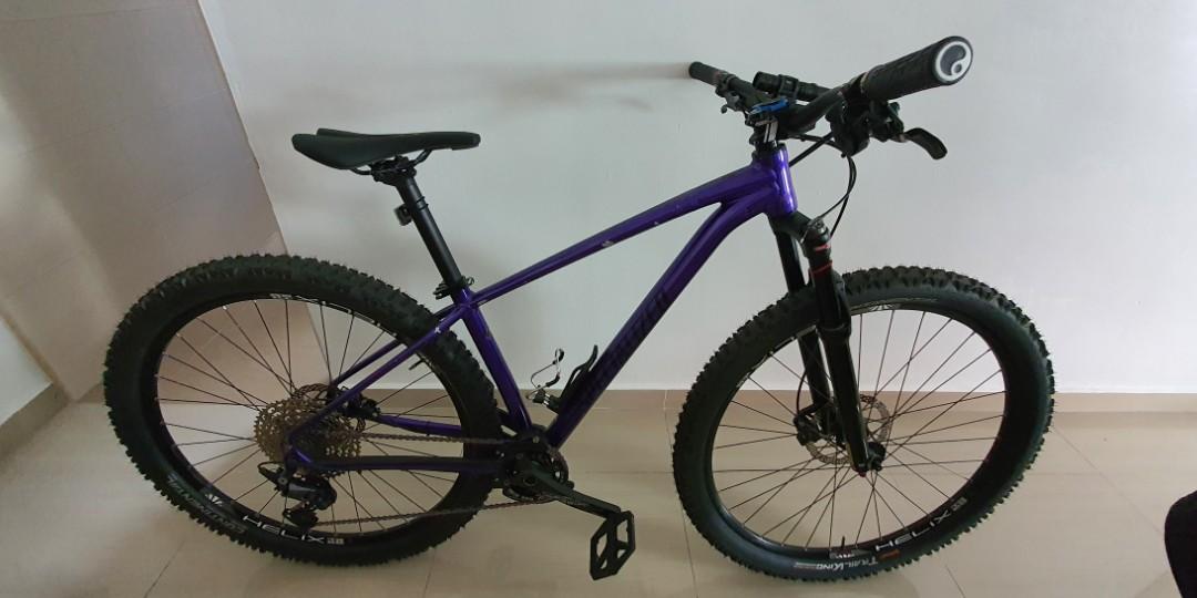 2019 store rockhopper expert