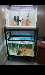 (Category: ) located in . Submitted by npanchal12 (Listing ID 1062842409, Image 1). Description: .