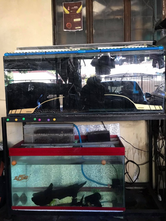 75 Gallons Aquarium 50 Gallons Aquarium Tank Pet Supplies Homes Other Pet Accessories On Carousell