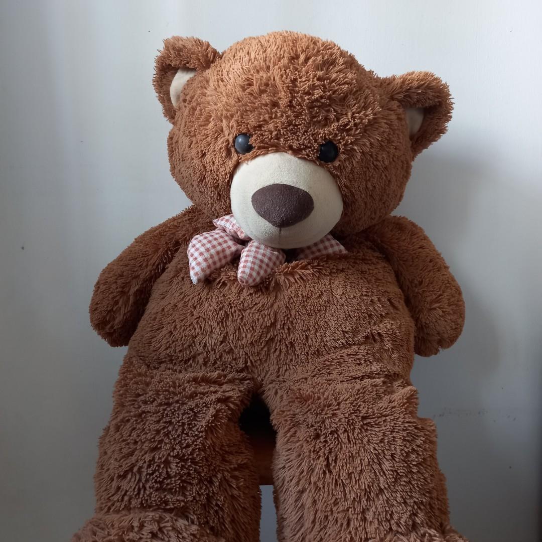 three foot teddy bear
