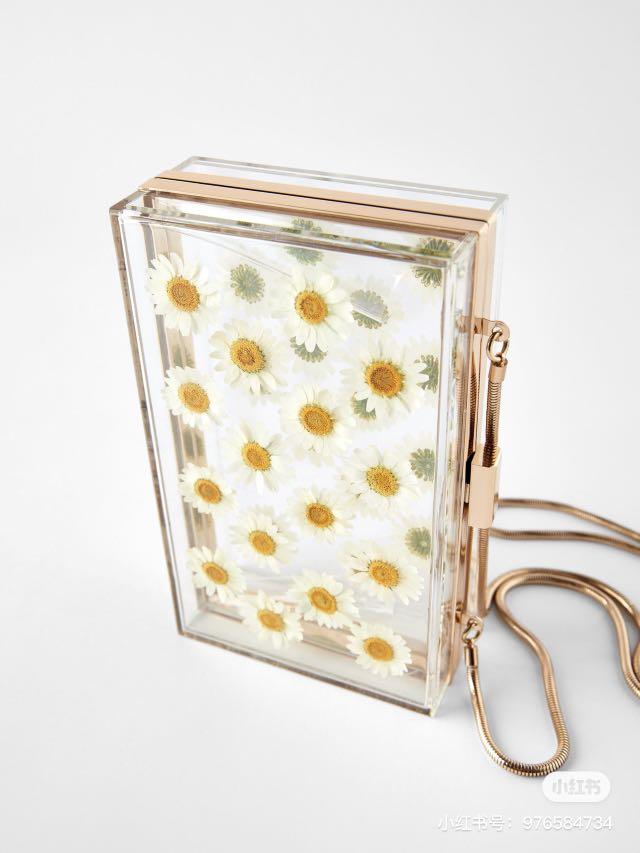 Zara natural daisy minaudi re crossbody bag