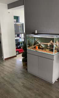 (Category: ) located in . Submitted by 11012017 (Listing ID 1063076939, Image 1). Description: .