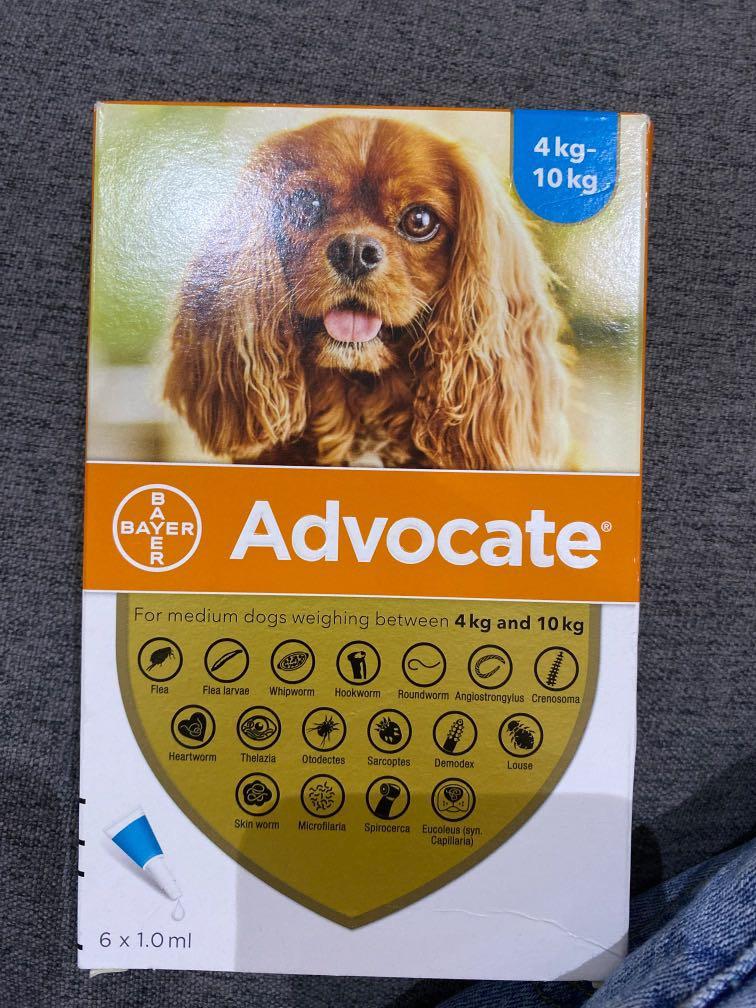 Advocate 4 10kg Pet Supplies Pet Food on Carousell