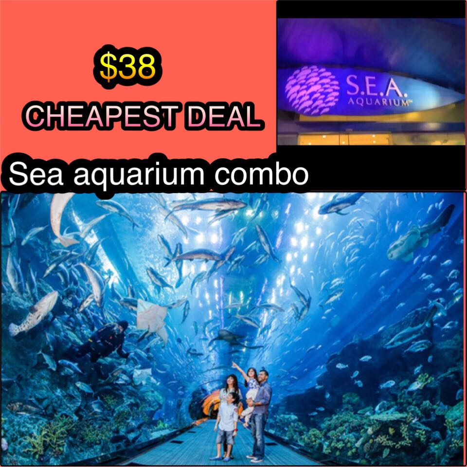 ️ATTRACTIONS Sea aquarium trick eye madams Tussaud’s Cable car tickets