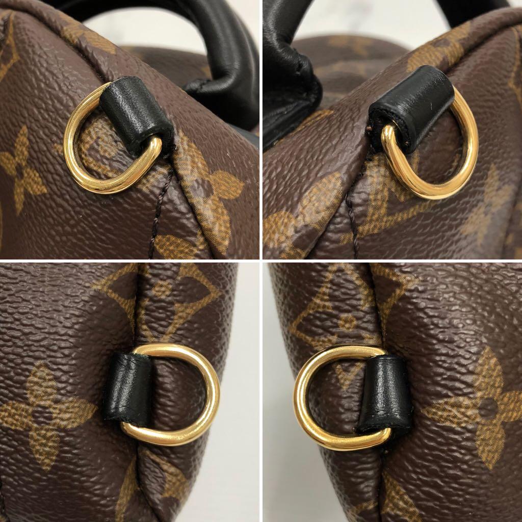 Shop Louis Vuitton MONOGRAM Palm Springs Mini (M44873, M44872) by iRodori03