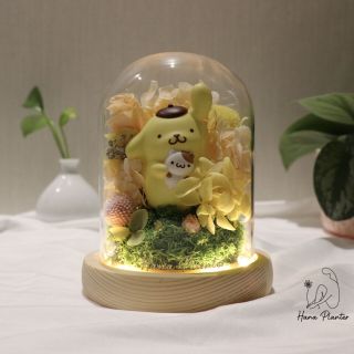 （分類：）位於 。 由 kiwilife 提交（商品編號 1034113610，圖片 1）。簡介： 。
