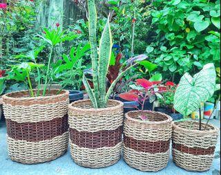 SET OF 4 Rattan Rope Wicker Basket Planter Pot Vase Indoor