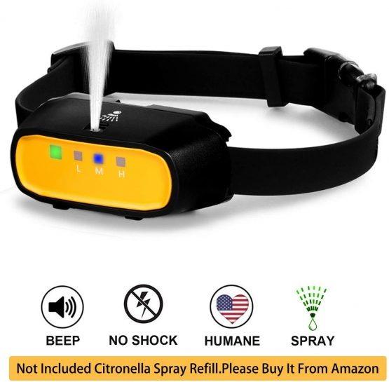 Wwvvpet clearance