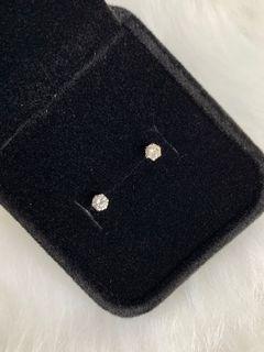 30 Pointer Diamond Stud Earrings in Platinum