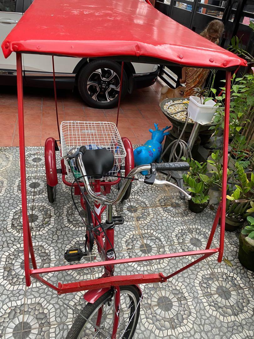 3 wheel bike canopy sales