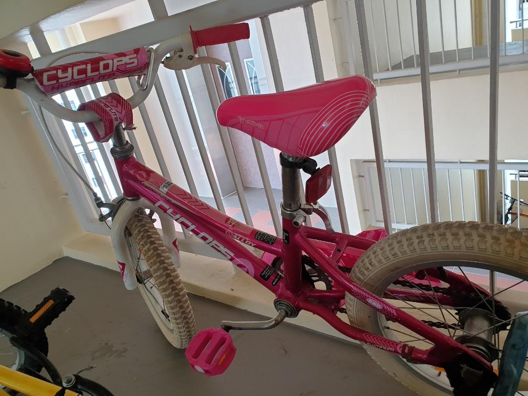 Cyclops 16 inch bike outlet