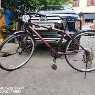 stretch cruiser bike