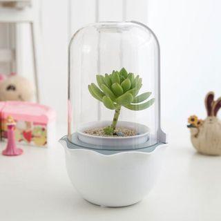Indoor Garden kit Smart Flower Pots for Succulent Growing with Timing