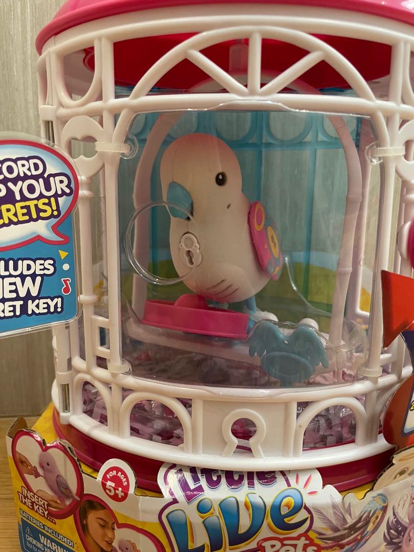 Little live pets cheap secret songbird instructions
