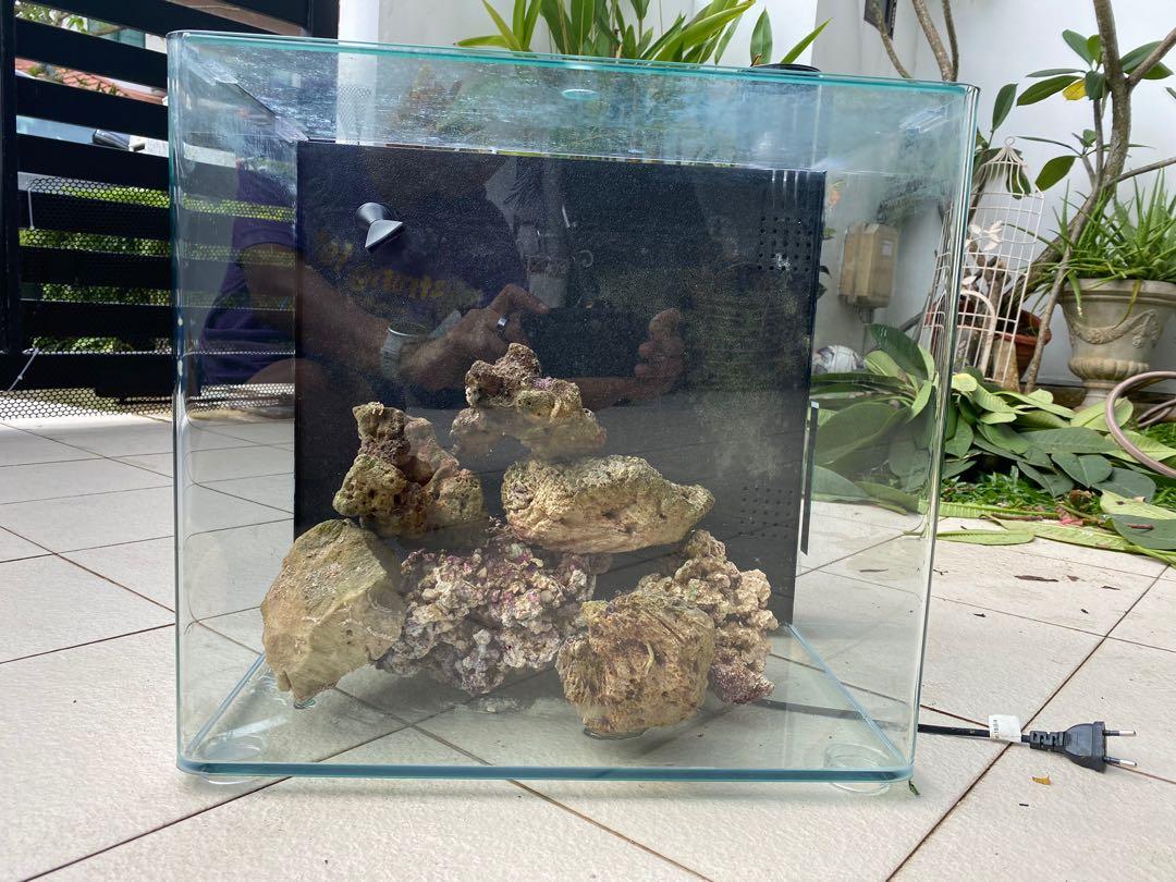 Ocean Free 63L Nano Marine Tank, Pet Supplies, Homes & Other Pet