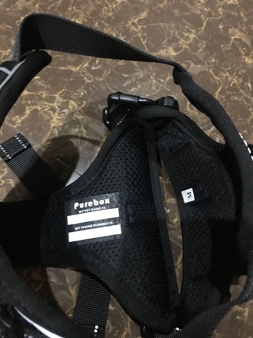 purebox dog harness