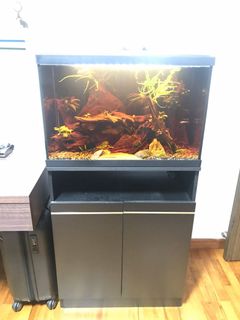 (Category: ) located in . Submitted by danzishere (Listing ID 1063306630, Image 1). Description: .