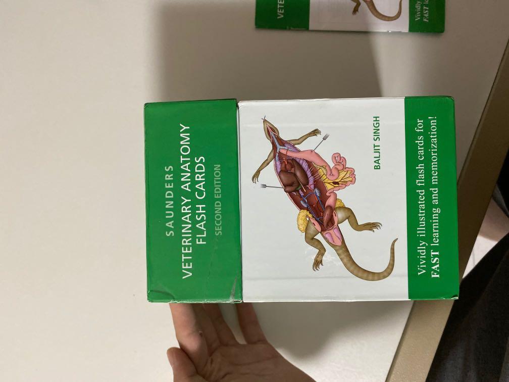Saunders Veterinary Anatomy Flash Cards, Hobbies & Toys, Books