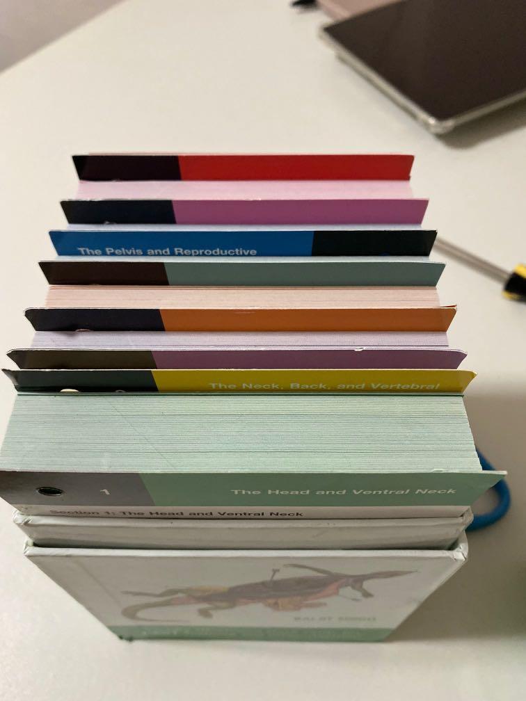 Saunders Veterinary Anatomy Flash Cards, Hobbies & Toys, Books