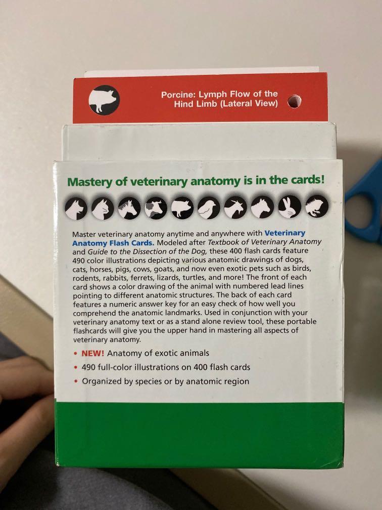 Saunders Veterinary Anatomy Flash Cards, Hobbies & Toys, Books