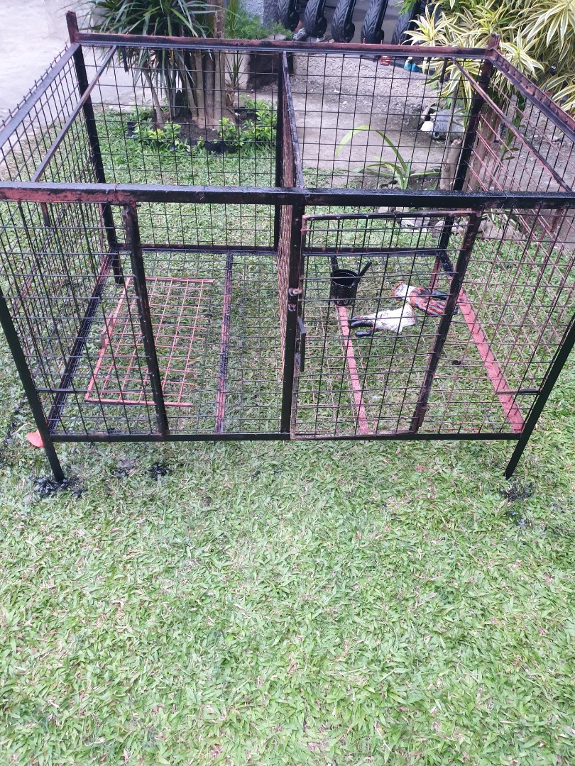 double dog cage