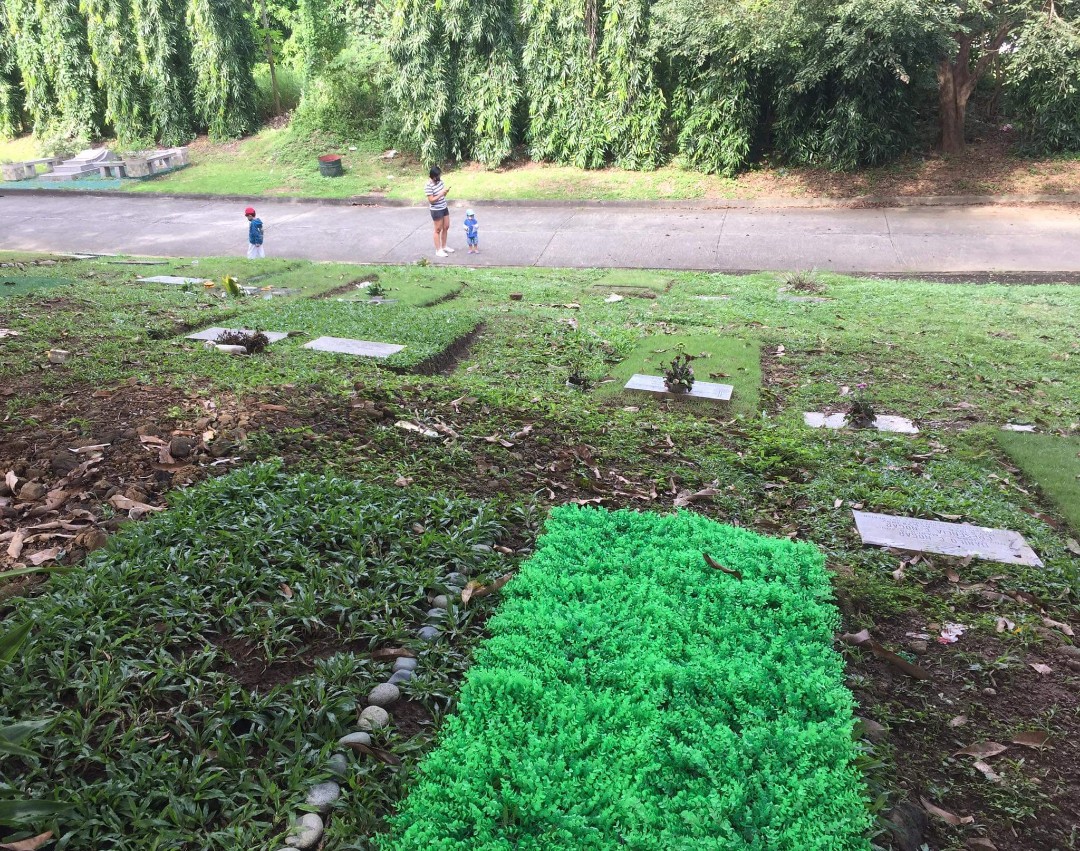 Rush sale> Everest hills lawn lot, Property, For Sale, Memorial Lot on