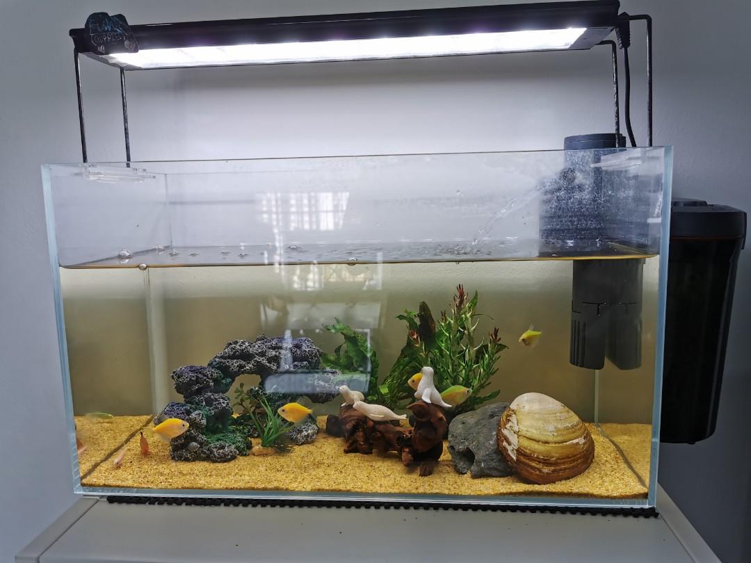 25l fish tank hotsell