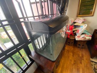 (Category: ) located in . Submitted by akhmal1991 (Listing ID 1063679330, Image 1). Description: .