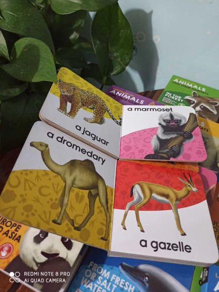 My big mini animal library 20本, 興趣及遊戲, 書本& 文具