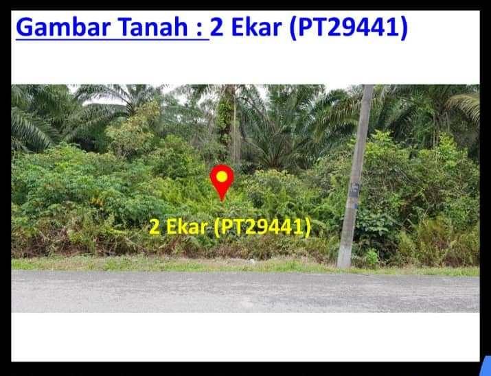 Tanah Pertanian Di Tanjung Dua Belas Kuala Langat Selangor Property For Sale On Carousell