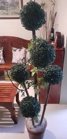 (Category: ) located in . Submitted by rona0406 (Listing ID 1063858582, Image 1). Description: .