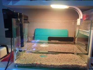 (Category: ) located in . Submitted by xiaoseahum (Listing ID 1063950431, Image 1). Description: .