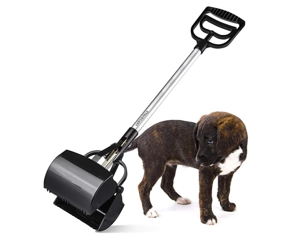 Paws & pals automatic hot sale dog feeder