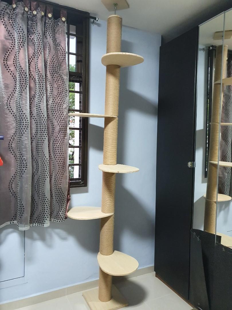 tall cat tree