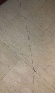(Category: ) located in . Submitted by spree_sg (Listing ID 1052097419, Image 1). Description: .