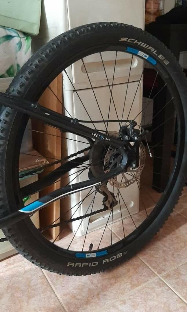 Marin pioneer trail hotsell 29er
