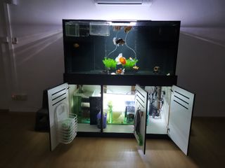 (Category: ) located in . Submitted by chomchom2 (Listing ID 1060029485, Image 1). Description: .