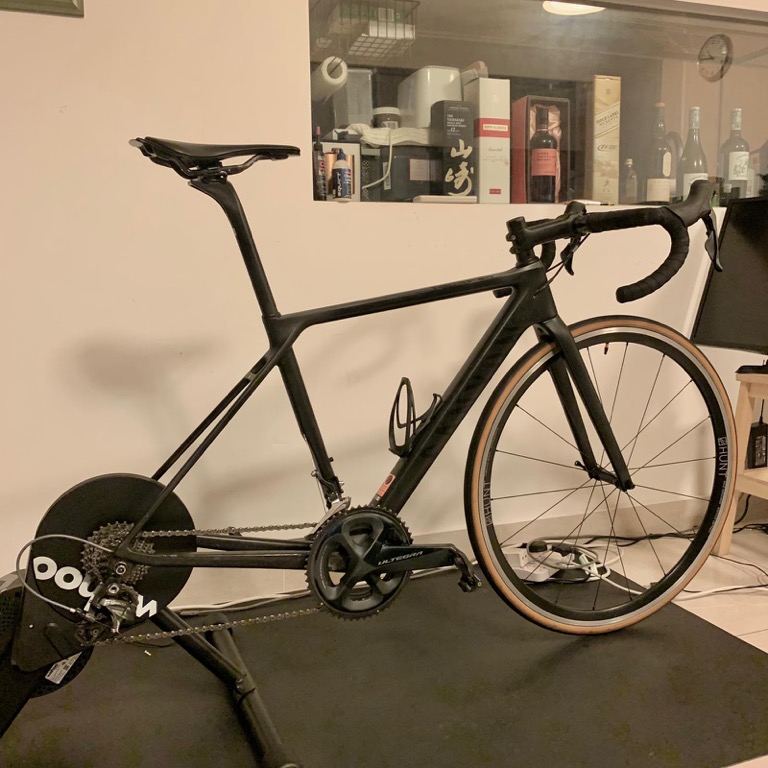 Ultimate cf outlet sl 2019