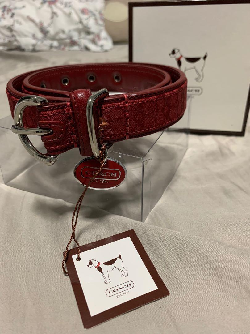 Coach shop dog accessories