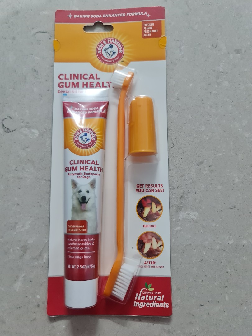 What Can Be Used As Dog Toothpaste