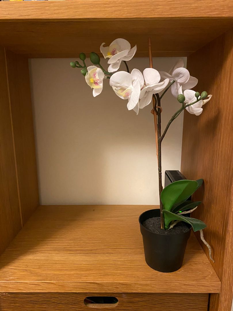 Ikea Fake Orchid Pot, Furniture, Home Decor, Others on Carousell