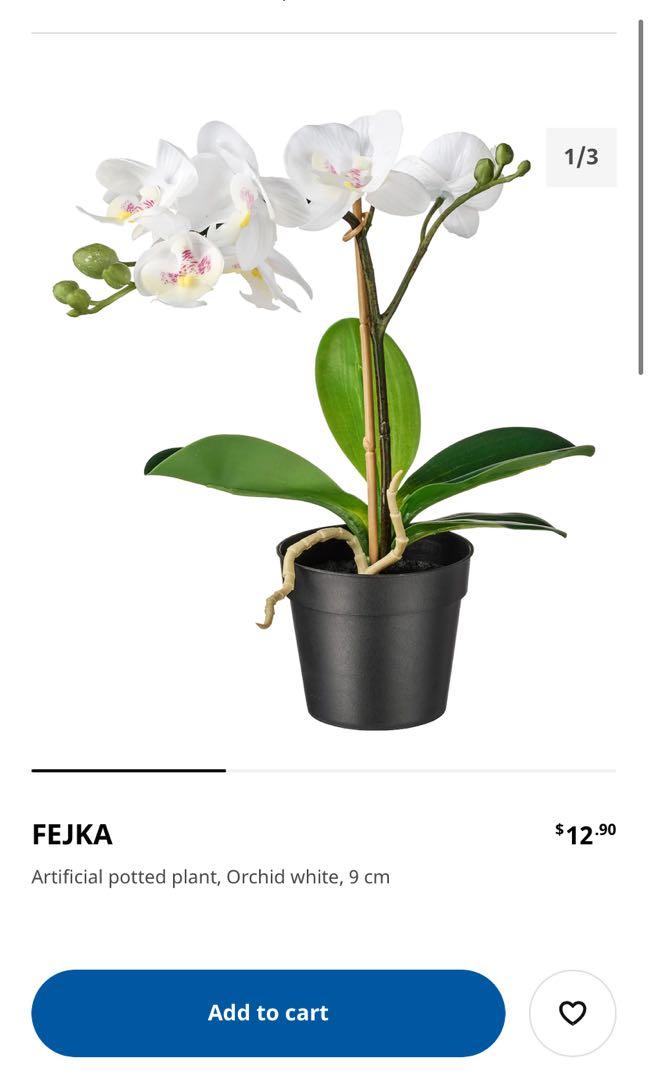 Ikea Fake Orchid Pot, Furniture, Home Decor, Others on Carousell