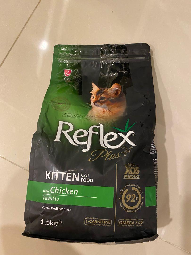Kucing Tak Nak Makan Dry Food