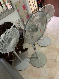 (Category: ) located in . Submitted by sing_garden (Listing ID 1060029632, Image 1). Description: .