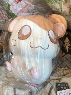 （分類：）位於 。 由 chengtaib 提交（商品編號 1060006200，圖片 1）。簡介： 。