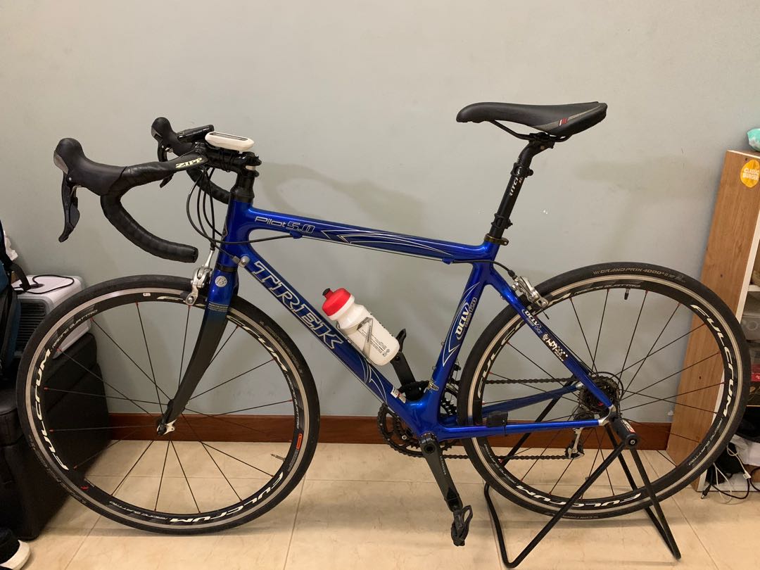 Trek pilot 5.0 2025