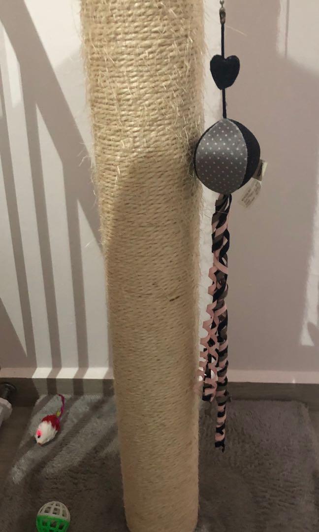 Very tall cat scratching post, Pet Supplies, For Cats, Cat Accessories