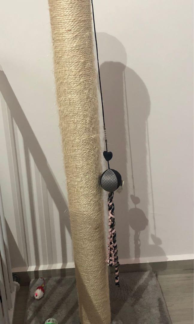 Very tall cat scratching post, Pet Supplies, For Cats, Cat Accessories